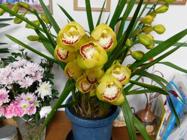 DSCN7225.JPG