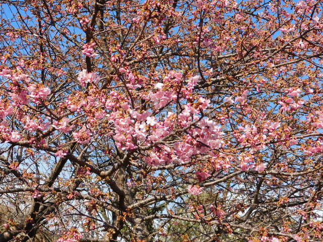 DSCN7909.JPG