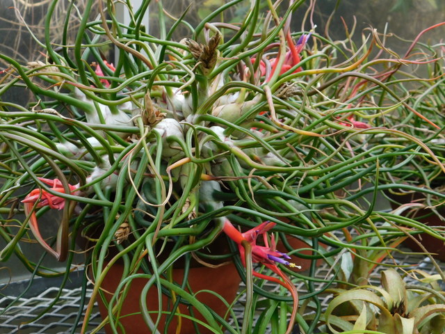 DSCN7938.JPG