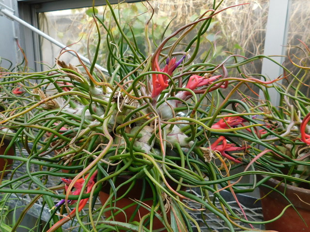 DSCN7942.JPG