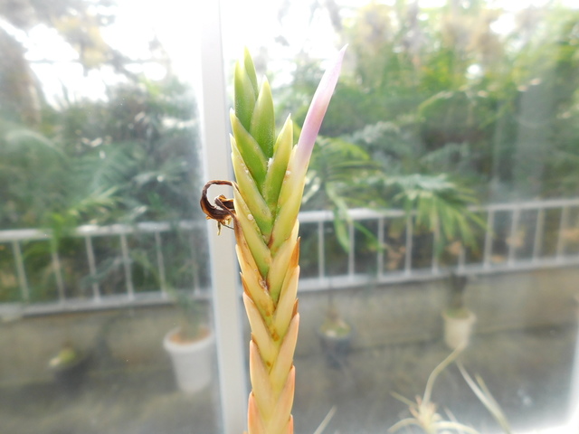 DSCN7928.JPG