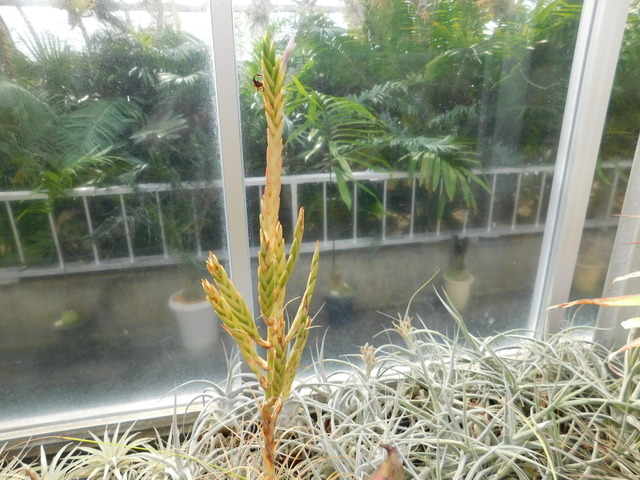 DSCN7926.JPG