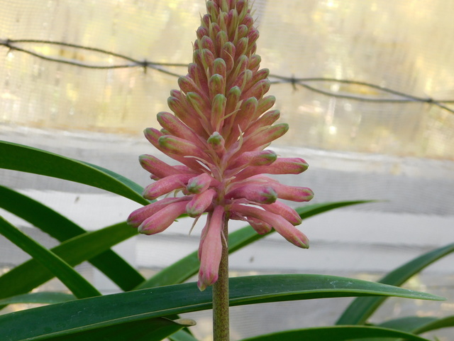 DSCN8075.JPG