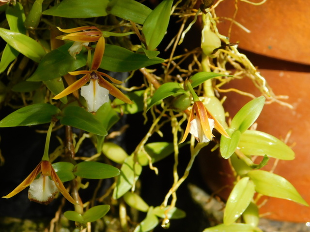 DSCN8091.JPG