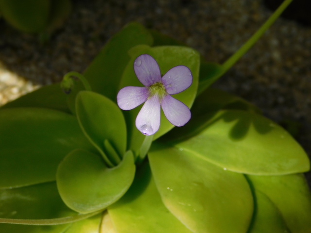 DSCN8089.JPG