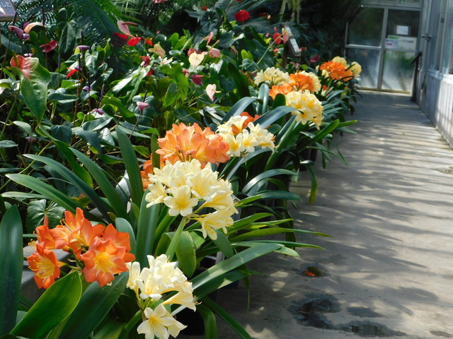 DSCN8384.JPG