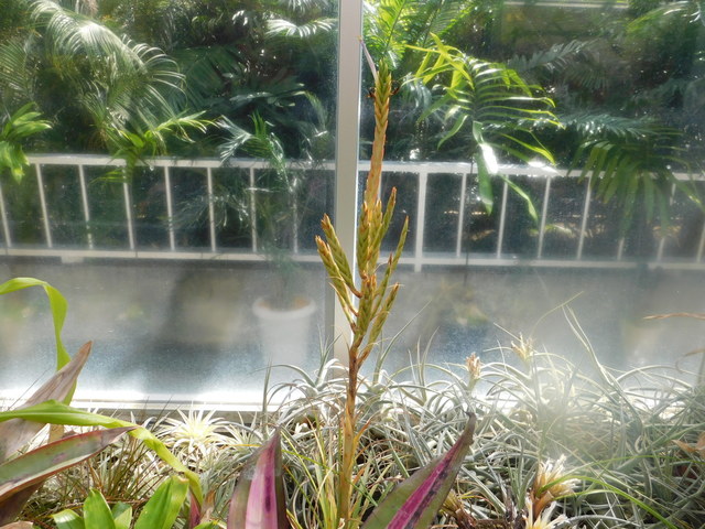 DSCN8518.JPG