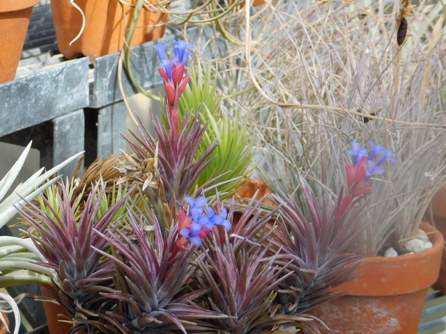 DSCN8510.JPG