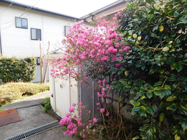DSCN9394.JPG