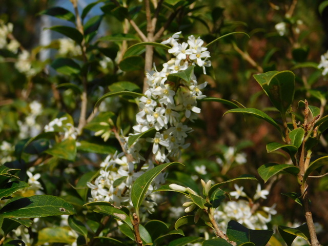 DSCN9415.JPG