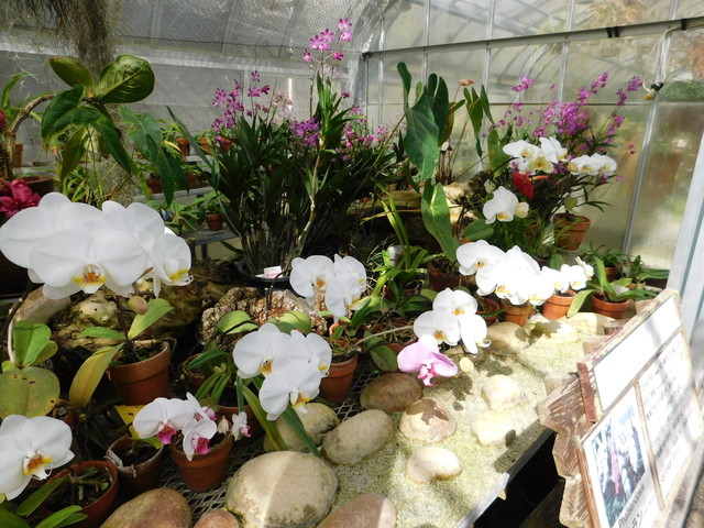 DSCN9307.JPG