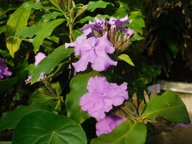 DSCN9406.JPG