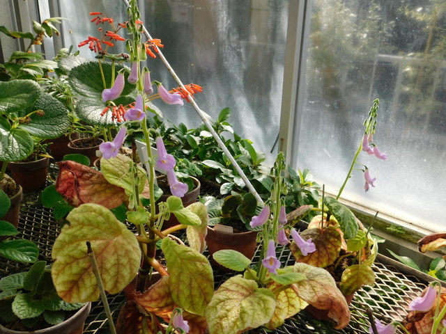 DSCN9465.JPG