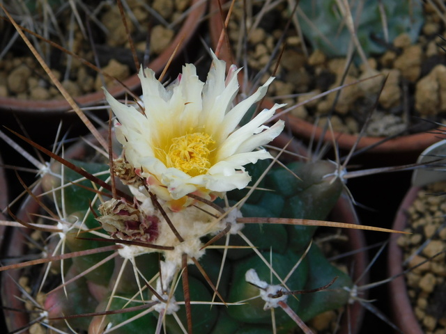 DSCN9966.JPG