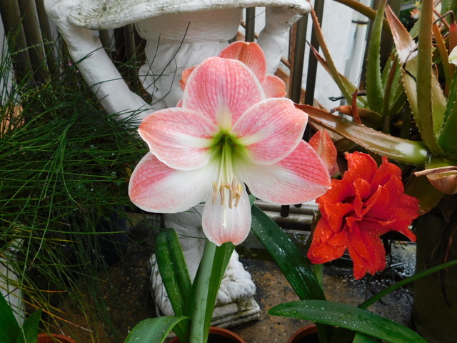 DSCN1885.JPG