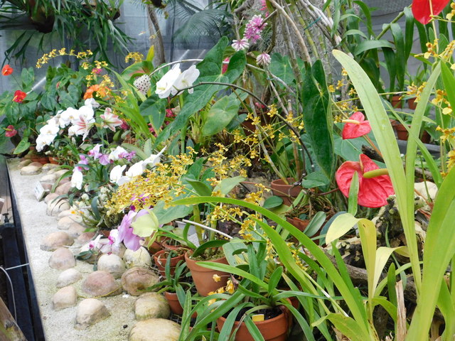 DSCN1906.JPG