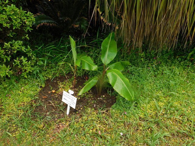 DSCN2038.JPG