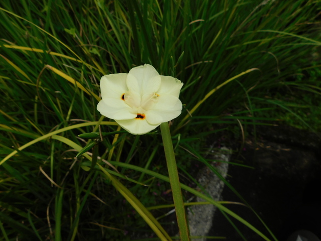 DSCN2245.JPG