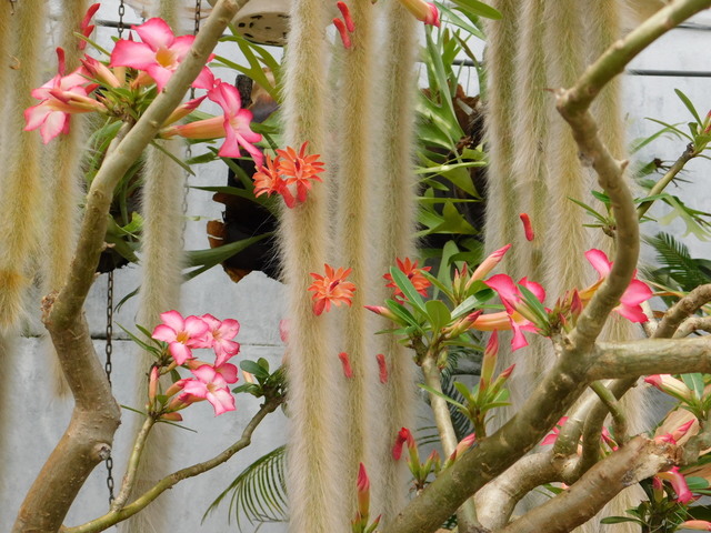 DSCN2251.JPG