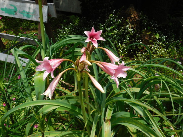 DSCN2193.JPG