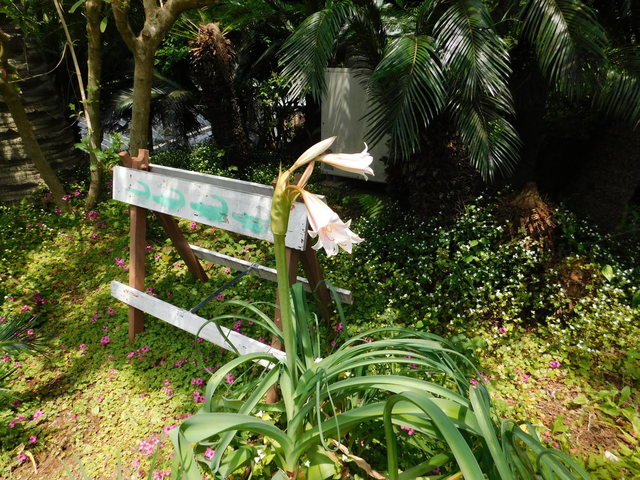 DSCN2189.JPG