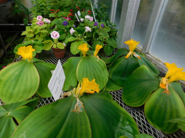 DSCN2652.JPG
