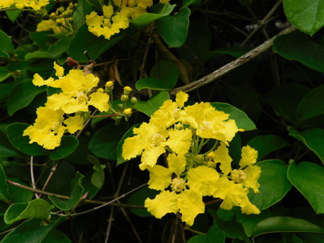 DSCN2669.JPG