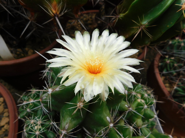 DSCN3214.JPG