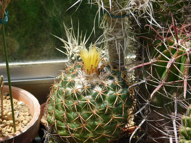 DSCN4276.JPG