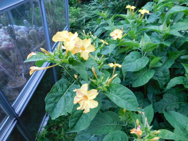 DSCN4297.JPG