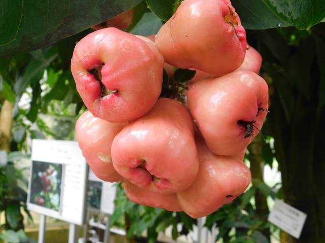 DSCN4367.JPG