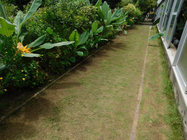 DSCN5207.JPG