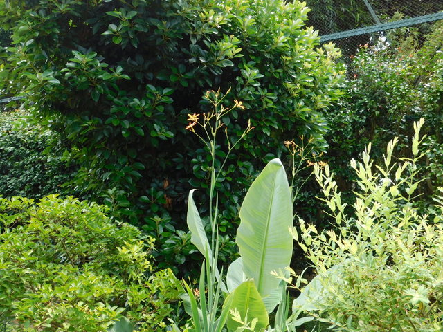 DSCN5213.JPG