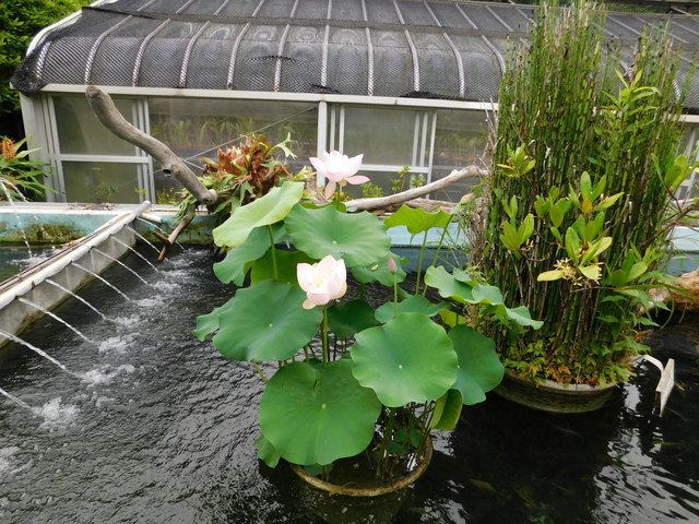 DSCN5252.JPG