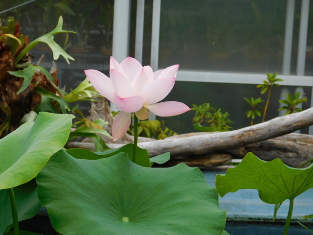 DSCN5255.JPG