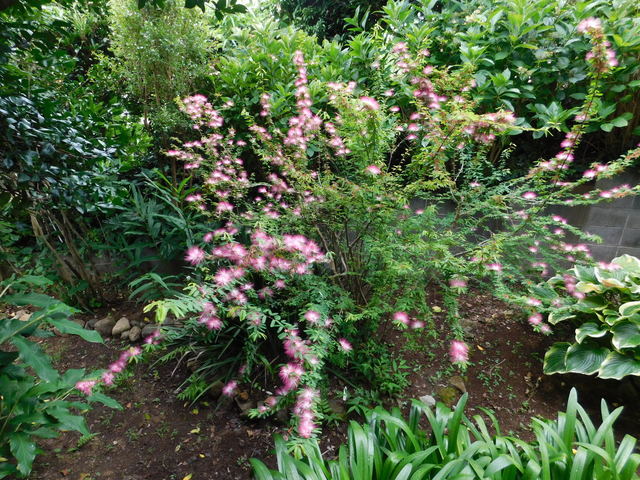 DSCN5229.JPG