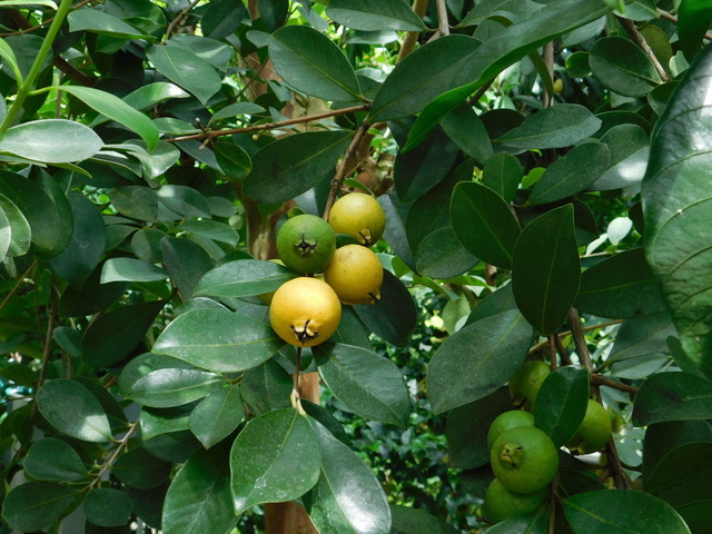DSCN5347.JPG