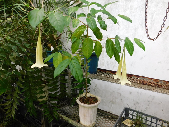DSCN6831.JPG