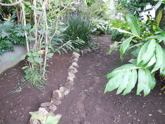DSCN7026.JPG