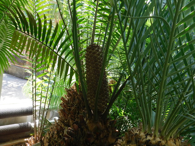 DSCN7124.JPG