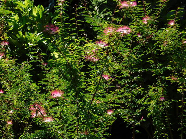 DSCN7189.JPG