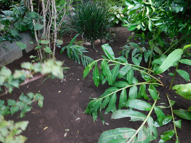 DSCN7594.JPG
