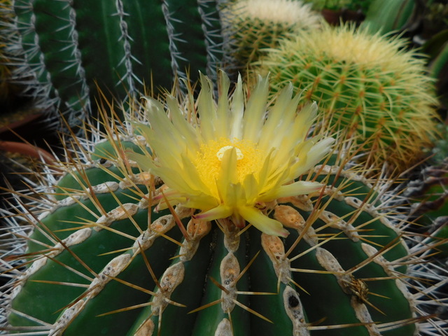DSCN7576.JPG