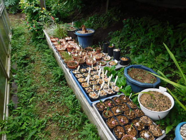 DSCN7550.JPG