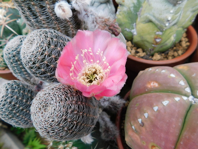 DSCN0001.JPG