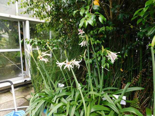 DSCN0013.JPG