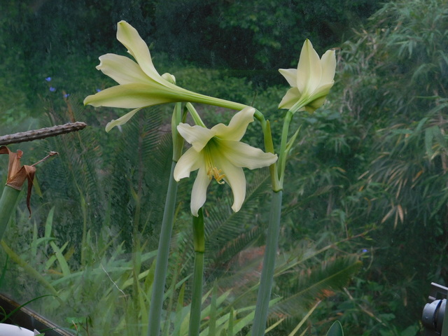 DSCN0061.JPG