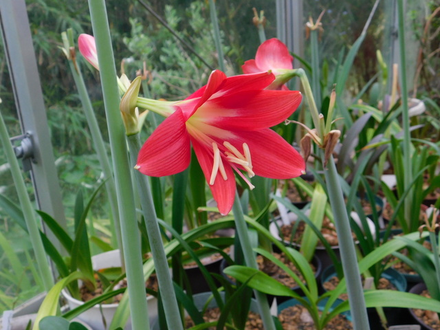 DSCN0065.JPG