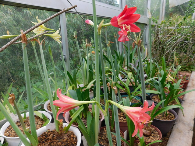 DSCN0069.JPG