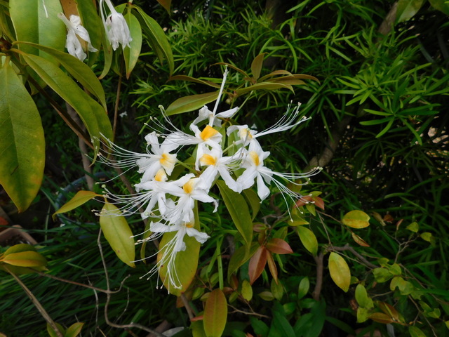 DSCN0073.JPG